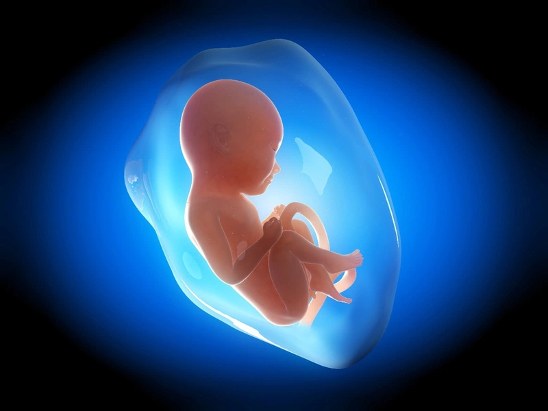 Cách giảm ốm nghén 3 tháng đầu cho mẹ bầu. Khi nào thai phụ ốm nghén phải điều trị y tế? 2