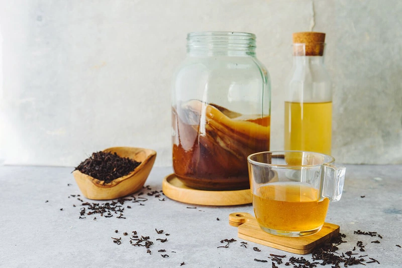 Cách làm Kombucha thành công ngay lần đầu và lưu ý khi nuôi Scoby 1