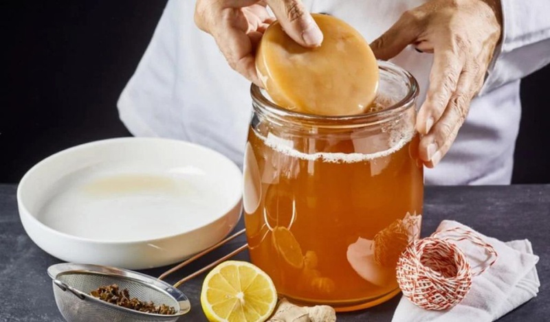 Cách làm Kombucha thành công ngay lần đầu và lưu ý khi nuôi Scoby 2