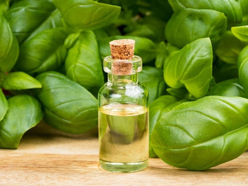 Những cách làm nước xịt chống muỗi đơn giản