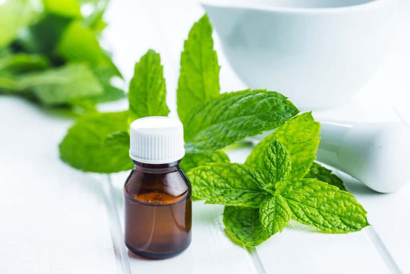 Những cách làm nước xịt chống muỗi đơn giản