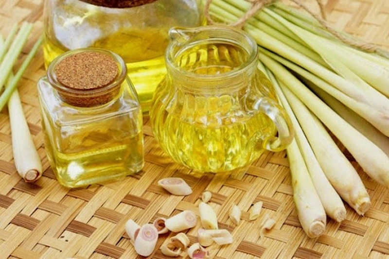 Những cách làm nước xịt chống muỗi đơn giản