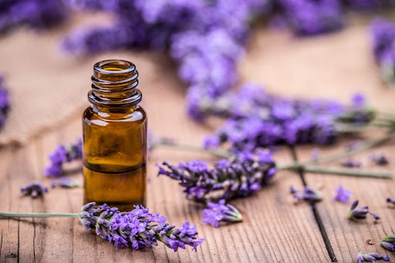 Những cách làm nước xịt chống muỗi đơn giản
