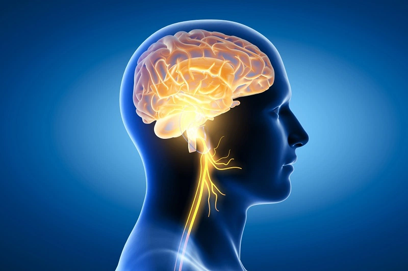 Lưu ngay các công thức này để làm sữa hạt macca siêu ngon bổ dưỡng 1