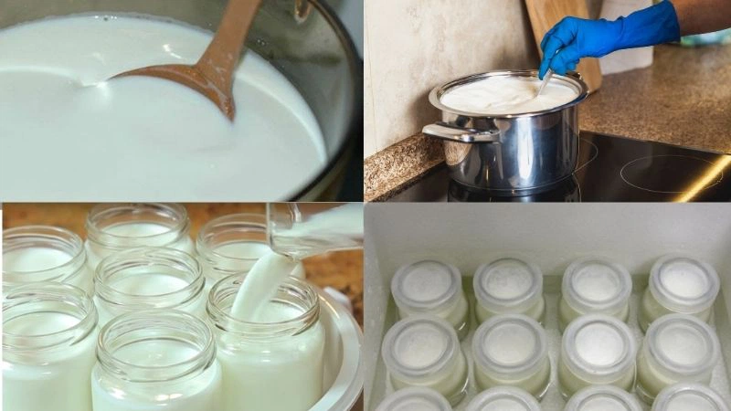 Làm yaourt từ sữa tươi.