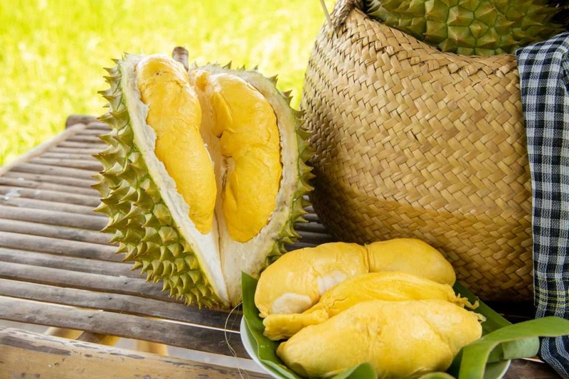 Sầu riêng cung cấp hàm lượng dinh dưỡng cao cho cơ thể