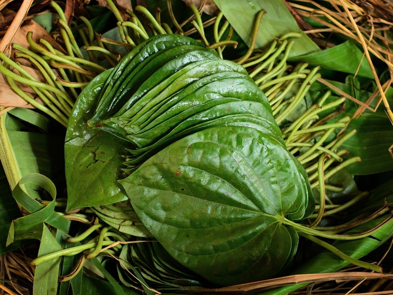Dùng lá  trầu không để xông hơi vùng kín