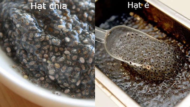 Cách phân biệt giữa hạt é và hạt chia 3