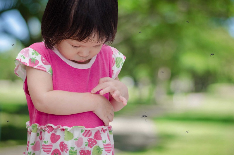 Cách phòng bệnh viêm não nhật bản cho trẻ hiệu quả trong mùa dịch 2