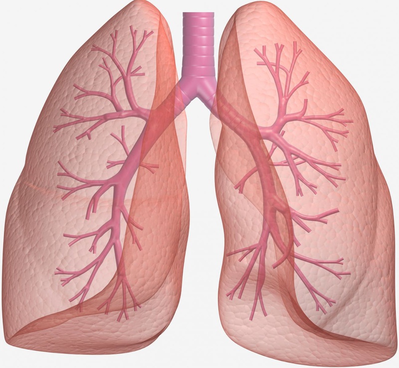 Cách phòng ngừa bệnh ung thư phổi1