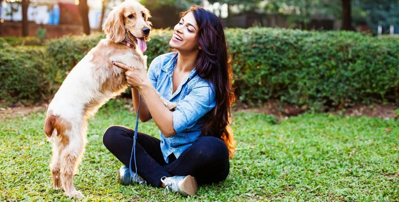 Cách phòng tránh lây nhiễm giun sán từ thú cưng mà bạn cần biết 1