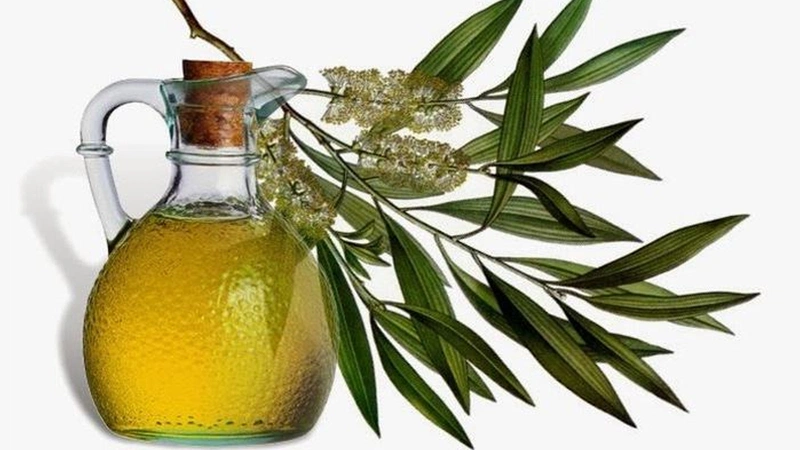 Tinh dầu khuynh diệp lành tính với làn da của trẻ nhỏ