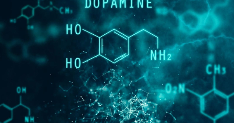 Cách tăng dopamine tự nhiên không phải ai cũng biết 1