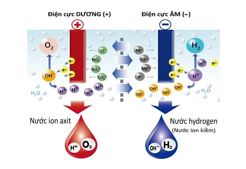 Cách tạo ra nước ion kiềm và những đặc tính của nước ion kiềm 2