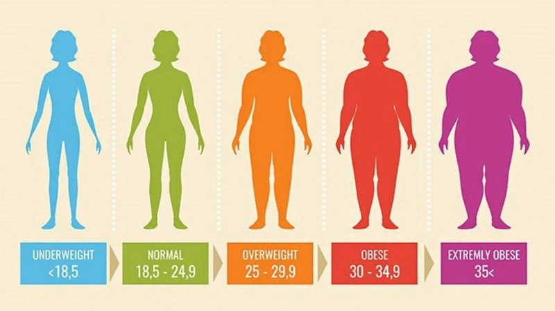 Cách tính chỉ số BMI và tiêu chuẩn về sức khỏe 1