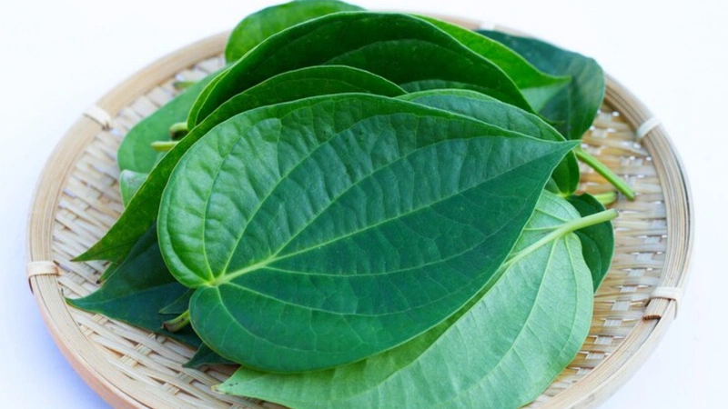 cách trị chàm sữa bằng lá trầu không 1