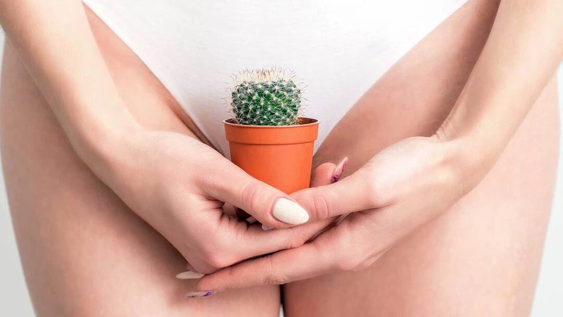 Bật mí cách triệt lông bikini bằng máy tại nhà 1