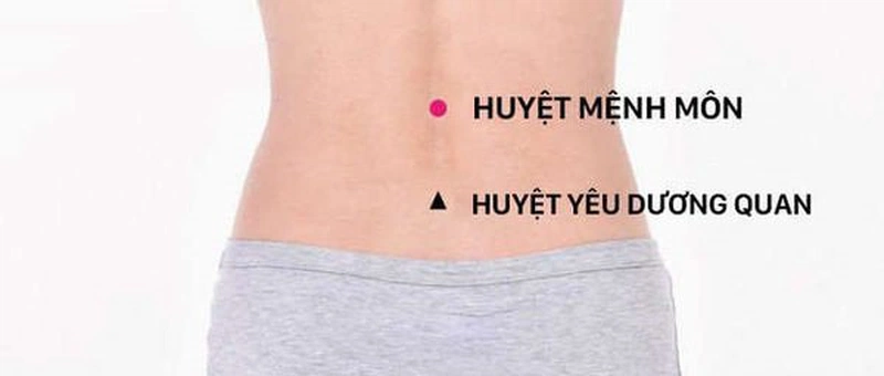 Huyệt Yêu Dương Quan nằm bên dưới của mỏm gai đốt sống lưng thứ 16