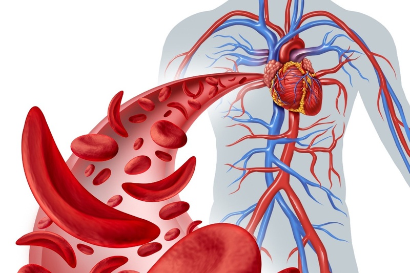 Cải thiện tuần hoàn máu với viên uống hỗ trợ tim mạch Heart Ace Support Vitamins For Life 60V 3