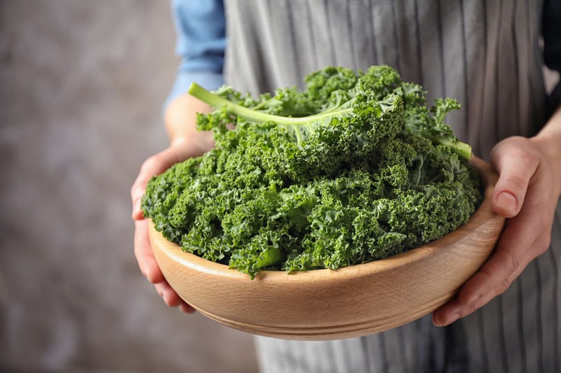 cải xoăn kale 3