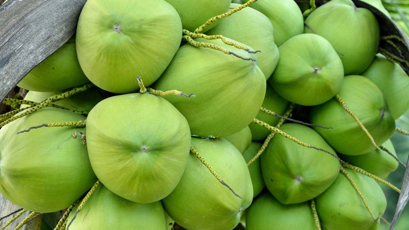 Khi bị cảm cúm có nên ăn cam hay không