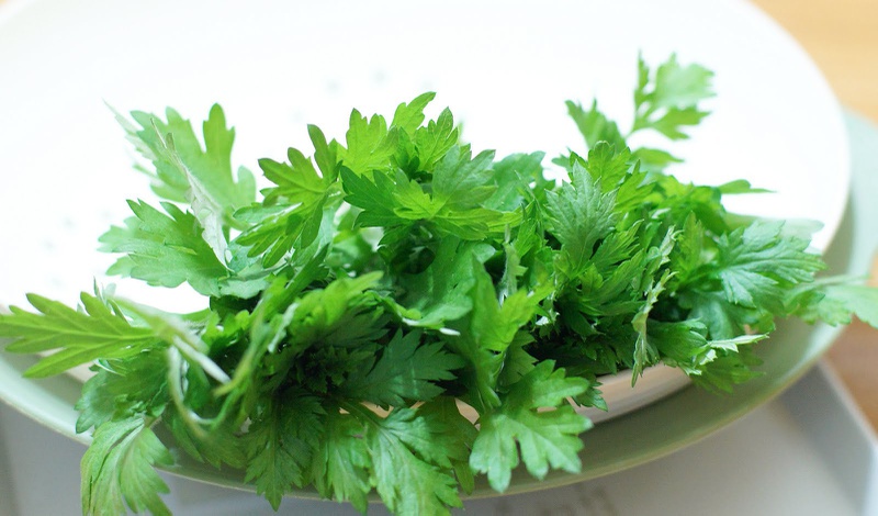 Những bài thuốc chữa cảm cúm trong Đông y