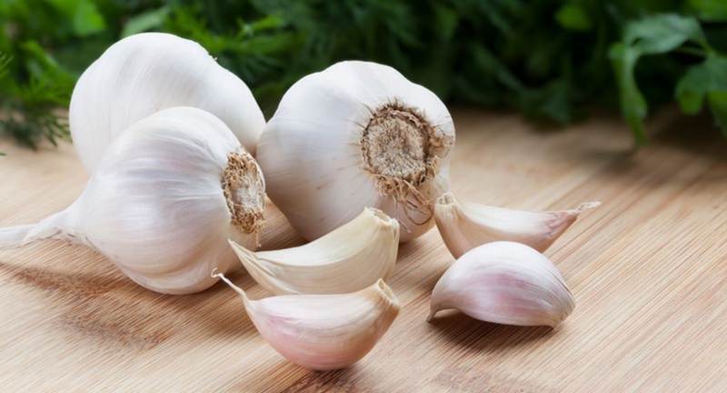 Tỏi giúp tăng cường hệ thống miễn dịch và kháng khuẩn, kháng virus, chống ô-xy hóa