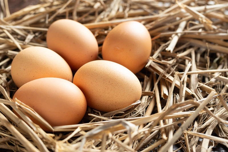 [CẢNH BÁO] Trứng gà bị mốc có ăn được không? Lưu ý điều gì khi bảo quản? 1