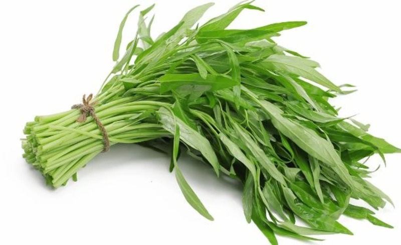 Rau muống có các hoạt chất sinh hóa có khả năng làm cho mô da căng mọng, xuất hiện vết sẹo trên bề mặt da