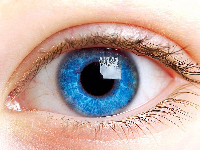 Cấu tạo của mắt gồm những gì và cách chăm sóc mắt đúng cách? 1