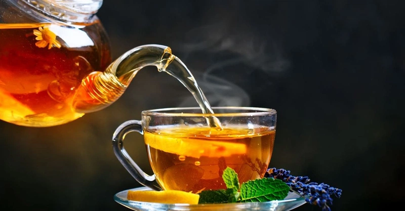 Cách sử dụng cây đinh lăng chữa rối loạn tiền đình