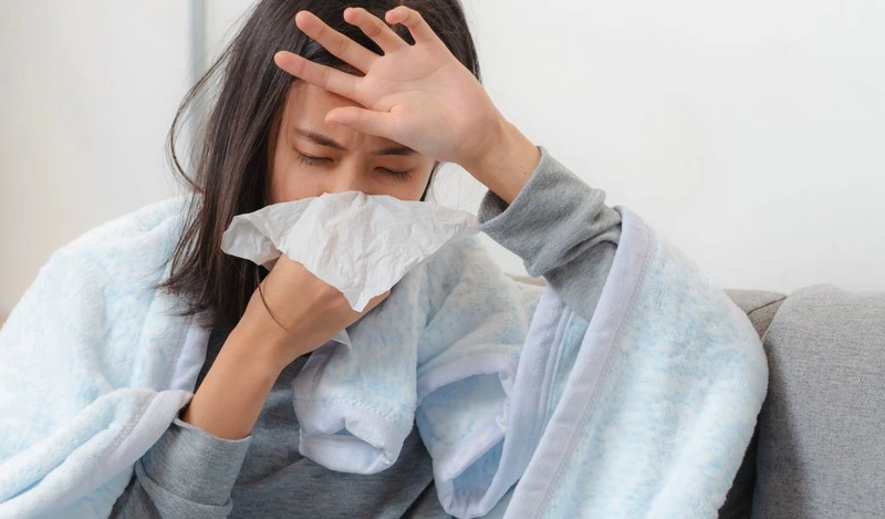 Cây hoàng đàn là gì? Có công dụng chữa bệnh như thế nào? 2
