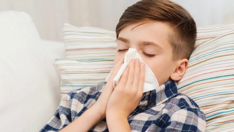 Người bị cảm cúm, sốt cao có thể dùng lá cây hồng ngọc để hạ sốt