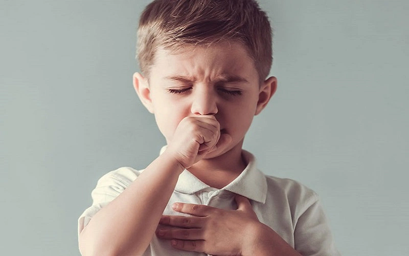 Cây huyết dụ lá nhỏ chữa bệnh ho