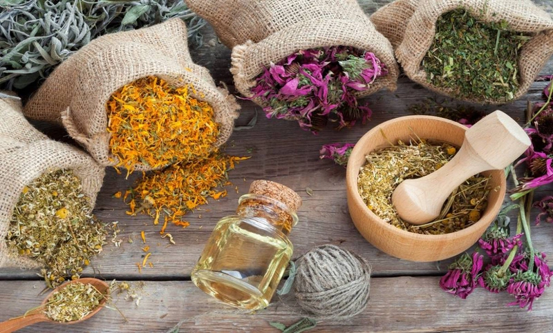 Chữa viêm da cơ địa bằng cây sài đất và dược liệu khác