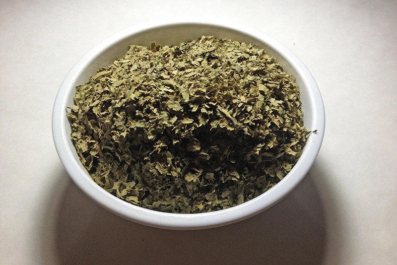 cây trâm bầu 4