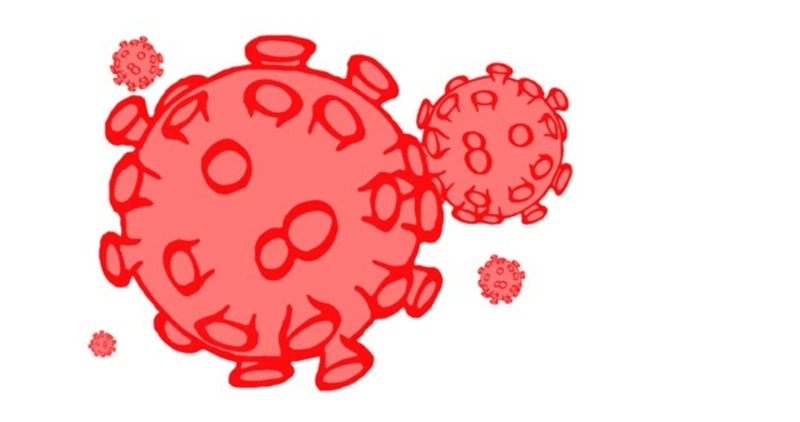 CD4 còn là nơi ở, sinh sôi, là cái tổ đẻ trứng của virus HIV