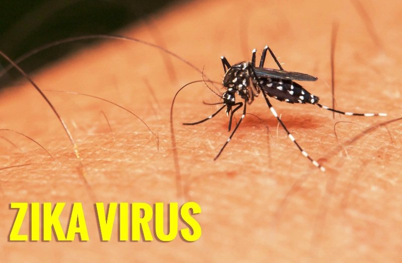 Chẩn đoán và điều trị sốt zika trong giai đoạn mang thai