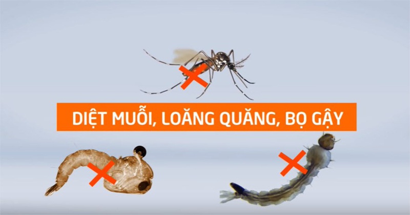 Chẩn đoán và điều trị sốt zika trong giai đoạn mang thai