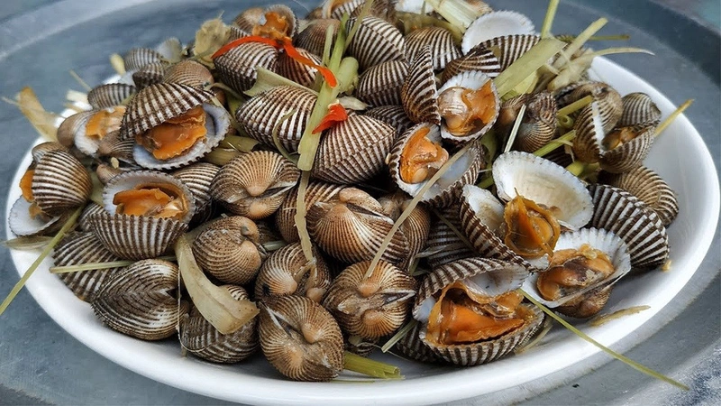 Sò huyết giàu dinh dưỡng hỗ trợ bé phát triển về cả cơ thể lẫn trí não