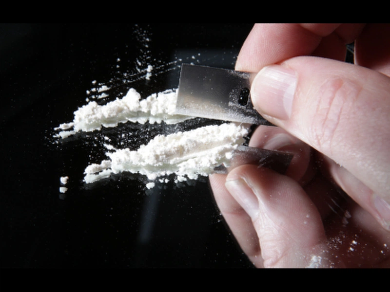 Cocain là loại ma túy được chiết xuất từ lá coca