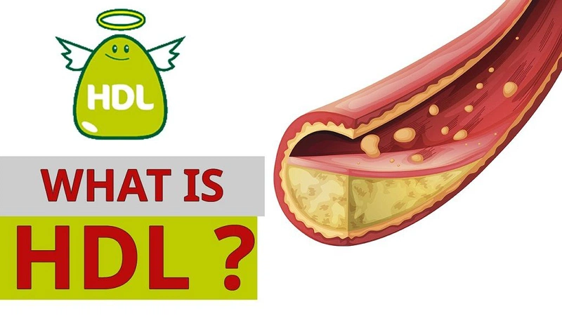 Chỉ số cholesterol của bạn có ý nghĩa gì? 2