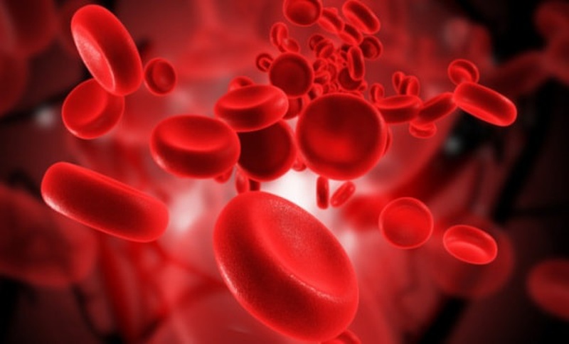 Khí oxy trong máu đóng vai trò vô cùng quan trọng, giúp cơ thể đảm bảo sự sống