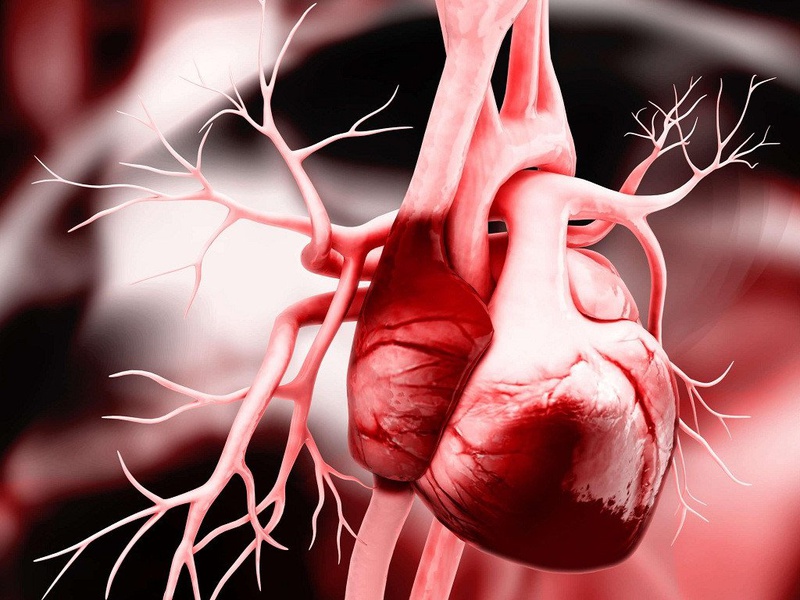 Thiếu oxy trong máu làm xuất hiện triệu chứng suy tim