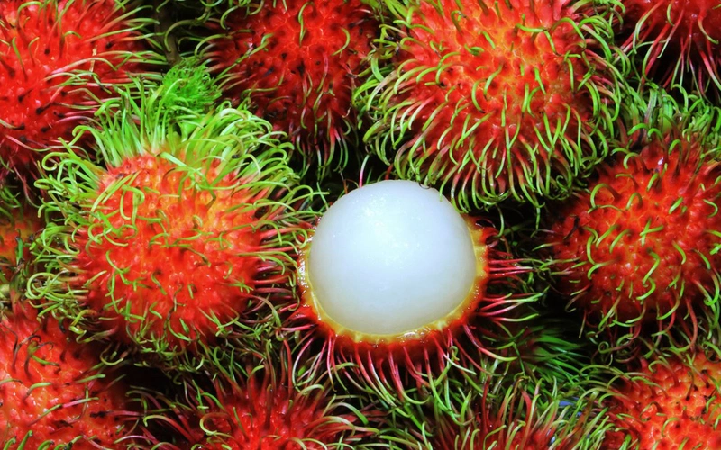 Góc dinh dưỡng: Ăn hạt chôm chôm có sao không? 1
