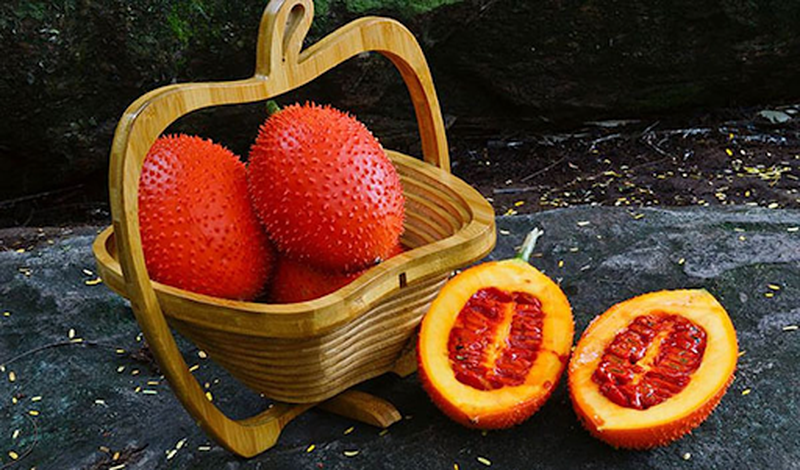 Bật mí công thức làm mặt nạ chống lão hóa da bằng dầu gấc 5