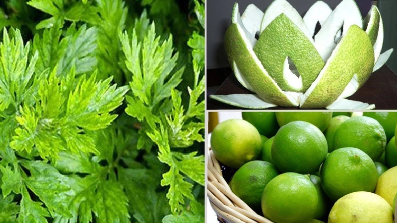 Chữa gai cột sống hiệu quả bằng bài thuốc đơn giản nhất 3