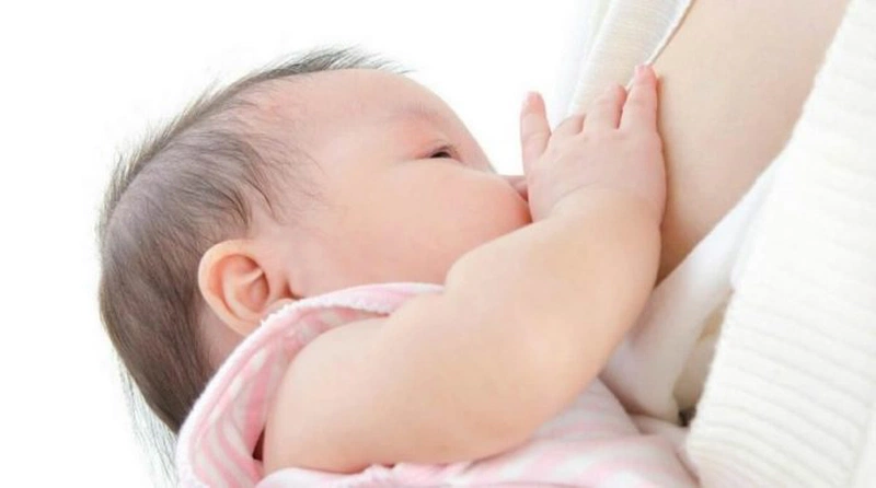 Chữa tắc tia sữa bằng lá bắp cải hiệu quả mà đơn giản