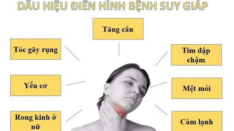 Các biểu hiện của bệnh suy giáp