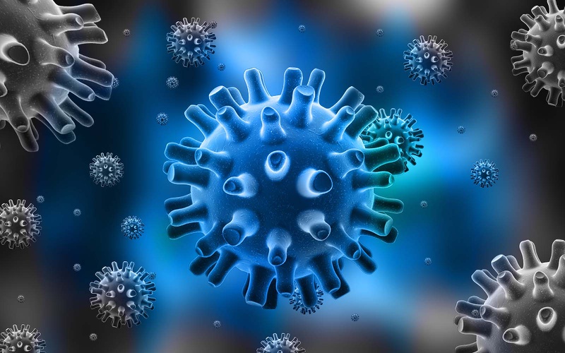 Chuyên gia lên tiếng thực hư chuyện virus viêm cơ tim gây chết người -3